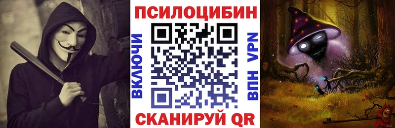 наркошоп  Химки  Галлюциногенные грибы Psilocybine cubensis 
